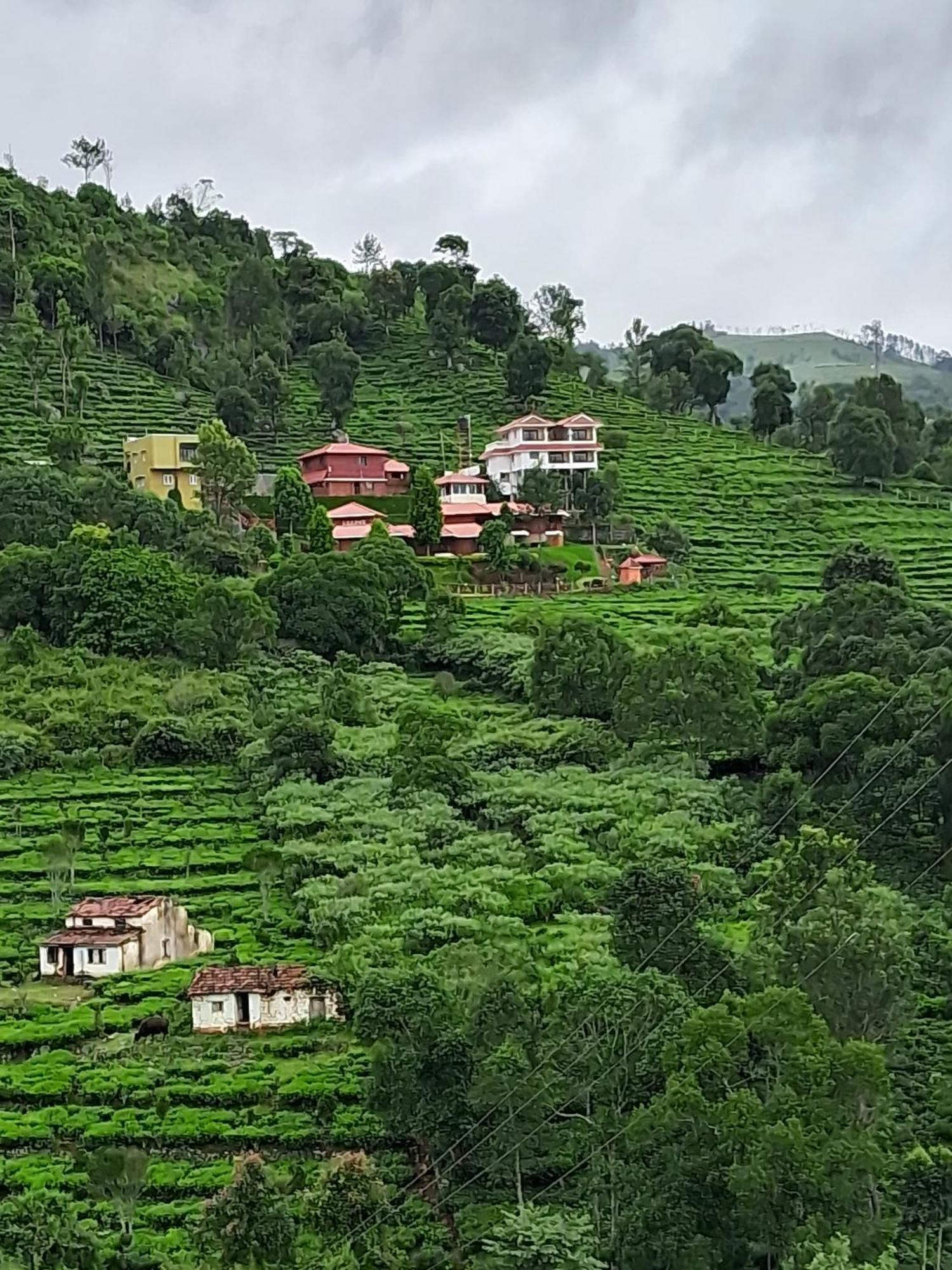 Hotel The Royale Ridge Kotagiri Exteriér fotografie