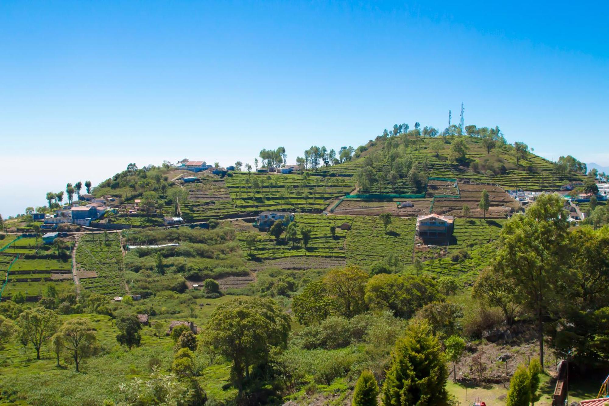 Hotel The Royale Ridge Kotagiri Exteriér fotografie